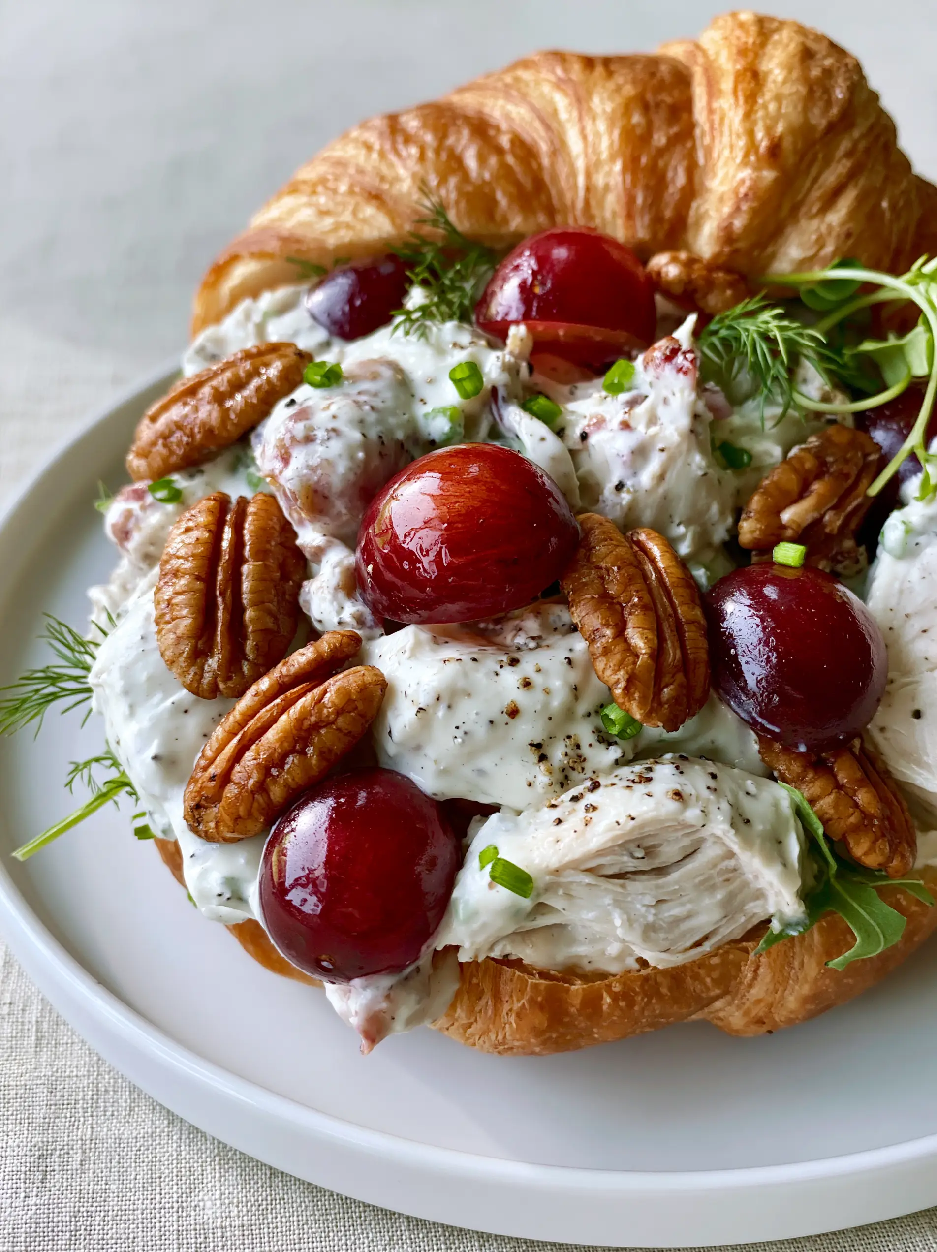 Chicken Salad with Grapes on Flaky Toasted Croissants 4 Ultra close-up of tender rotisserie chicken chunks and crimson red grapes in a creamy dressing. (chicken salad with grapes)
